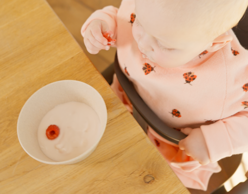 Baby mit Marienkäfer Lätzchen und Teller vor sich